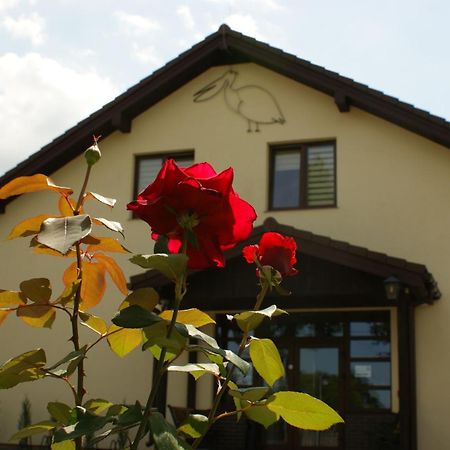 Pelikan Aleksandrów Łódzki Extérieur photo